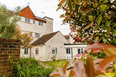 Garden Pathway and Home Exterior