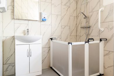 Modern Walk-In Shower Room