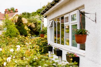 Garden Window View with Flower Displays